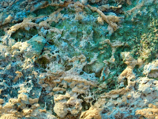 Unusual water condition due to algae blooming. Colored algae on the surface of the water. 