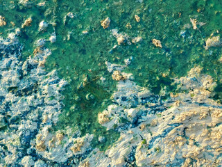 Seaweed. Algae bloom in water. Green beach on the lake.