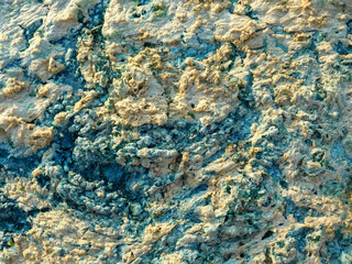 Green water. Polluted water with algae. Flowering water as background or texture