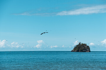 Fototapeta na wymiar island in the ocean