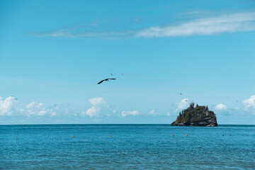 island in the ocean