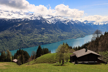Fototapeta na wymiar Zauberhafte Schweizer Alpenlandschaft; Blick von der Planalp über den Brienzersee (Berner Oberland)
