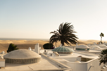seen on the palm trees and the desert from a roof