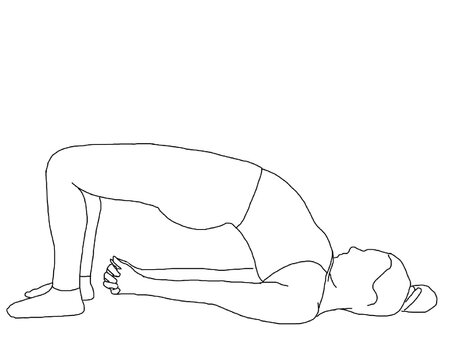 yoga, bridge pose, setu bandha sarvangasana Stock Vector | Adobe Stock