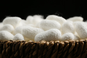 White silk cocoons in wicker bowl on black background, closeup
