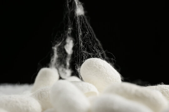 Heap of white silk cocoons on black background, closeup