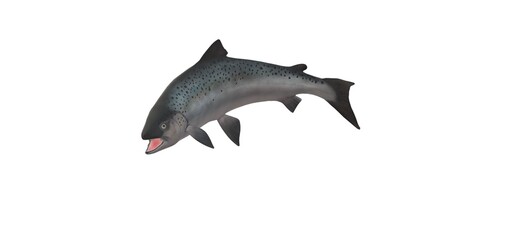 3d small salmon on a white background