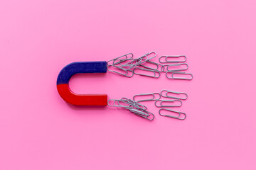 Horseshoe magnet collecting paper clips. Office supplies top view