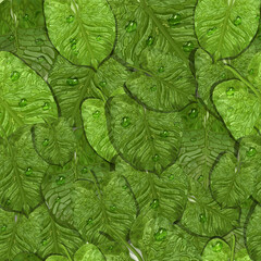 Fototapeta premium seamless pattern with realistic tropical leaves, water drops, dew. fashionable background of exotic green leaves, top view. for printing, paper, textiles, your ideas. illustration.