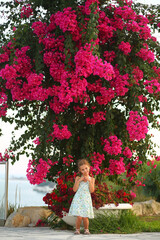 Beautiful caucasian girl showing heart gesture under the blooming bush of pink bougainvillea