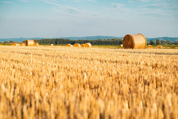Selective focus on bale of hay, rural agricultural field, copy space  © phoenix021