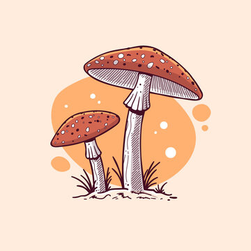 Amanita muscaria, fly agaric mushroom vintage style drawing vector illustration