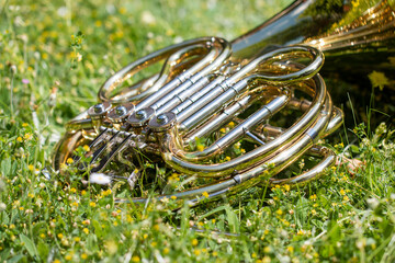 Waldhorn (French Horn) auf einer Wiese