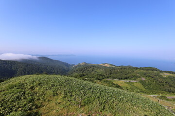 Fototapeta premium cape tappi