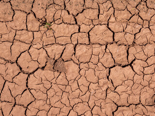 Trockenheit Ernte Klimawandel Boden