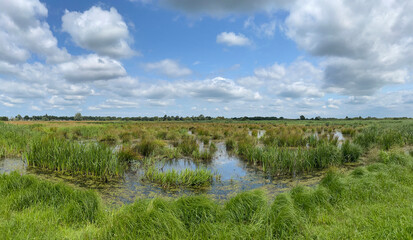 Panorama from a nature reserve around Eastermar