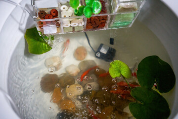 Close-up of water filtration circulation purification system of goldfish tank