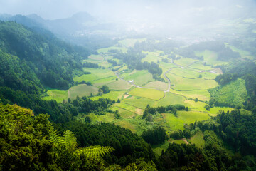 Hazy and foggy forest with green fields on a summer afternoon in the Azores