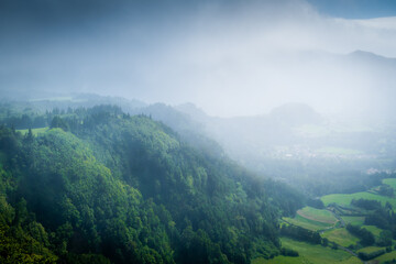 Fototapeta premium Hazy and foggy forest with green fields on a summer afternoon in the Azores