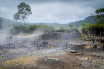 Fototapeta na wymiar Steaming hot Caldeiras caused by volcanic activity on Sao Miguel, Azores