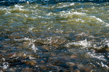 Stormy stream mountain river with rocky bottom close-up. Foamed water from fast flow. Nature Ukraine outdoor, Carpathian mountains