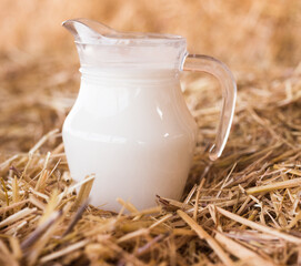 Obraz na płótnie Canvas fresh milk in a jug in the hayloft