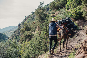 a man and a donkey walking on a winding path