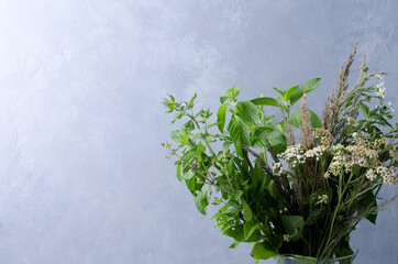 Bouquet of summer herbs on a gray-blue background. Natural bouquet as a gift, the concept of a floral background with copying space