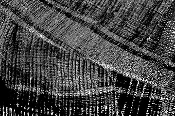 Abstract background. Monochrome texture. Image includes a effect the black and white tones.