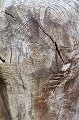 Holzstruktur einer alten Tischplatte