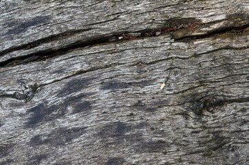 Holzstruktur einer alten Tischplatte