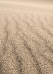 Fototapeta na wymiar Waves on the surface of the sand dunes, selective focus. Close-up.