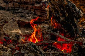 texture flame from burning logs at night