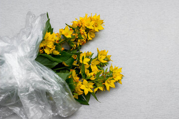 Bouquet of yellow flowers in a cellophane bag on gray background. The concept of environmental conservation, care for nature