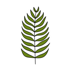 Palm leaf. Tropical plant. Simple illustration. Summer icon