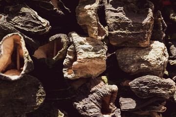 stuffed dried eggplant. Middle Eastern regional food.