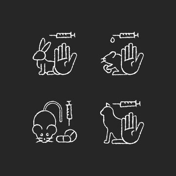 No animal cruelty chalk white icons set on dark background. Ban violence in laboratory experiments for drug toxicity. Prevent harm to rabbits, mice. Isolated vector chalkboard illustrations on black