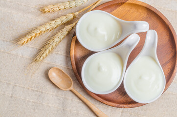 Fototapeta na wymiar Greek yogurt in a white bowl and dry.
