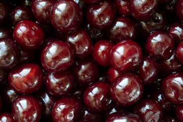 Summer harvest garden fresh cherries closeup