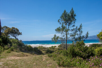 discovery of the island of beauty in southern Corsica, France