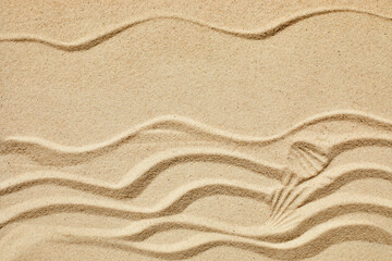 Fototapeta na wymiar Sand texture. Sandy beach for product background. Top view