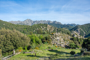 Fototapeta na wymiar discovery of the island of beauty in southern Corsica, France