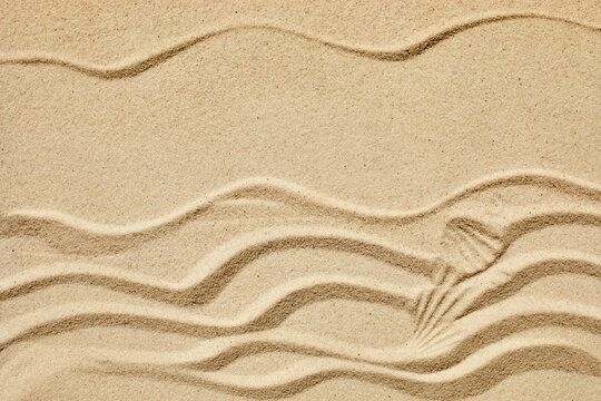 Sand texture. Sandy beach for product background. Top view