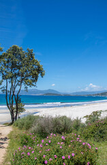 discovery of the island of beauty in southern Corsica, France