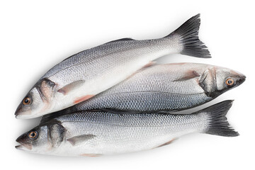 Sea bass fich isolated on white background with clipping path. Top view. Flat lay