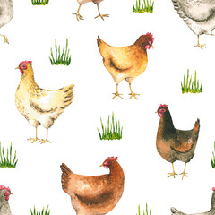 Seamless pattern with watercolor hens and grass. Hand drawn illustration is isolated on white. Chicken ornament is perfect for agricultural design, farm background, rural wallpaper, fabric textile