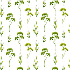 Seamless pattern with watercolor green plants. Hand drawn illustration is isolated on white. Greenery ornament is perfect for floral design, background, medicinal herb label, wallpaper, fabric textile