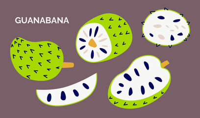 Set of vector hand-drawn illustration of tropical fruit Guanabana. Collection of tropical fruit Isolated on gray background