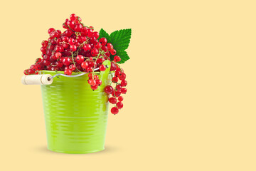 Red currant in a green cup on a yellow background. Horizontal. Background with copy space.