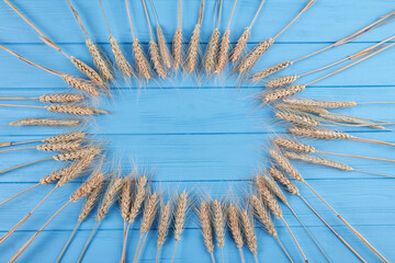 Flat lay top view wheat ears arranged in a circle.